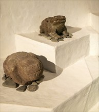 Carved stone frogs, archaeological site and museum of Templo Mayor, Mexico City, Mexico, Central