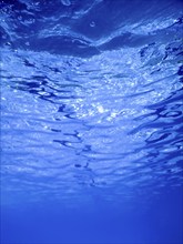 Water Surface Underwater, Swimming Pool Surface Water Background