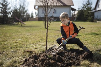 Six-year-old boy in the garden plants tree during sunny spring day.