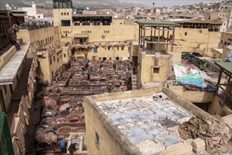 Famous tannery in the medina of Fes, where leather is being processed for generations, Morocco,