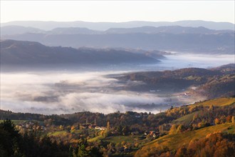 Autumn atmosphere in the morning light, fog drifts over forest with foliage colouring, vineyards