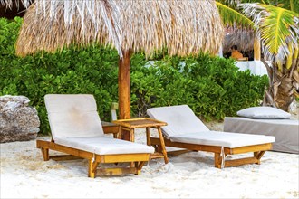 Palapa thatched roofs palm trees parasols umbrellas and sun loungers at the beach resort hotel on