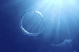 Bubble Ring Underwater, Ring Bubble