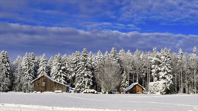 Winter landscape with huts and fir trees