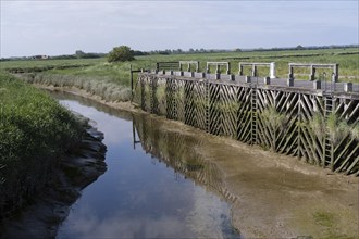 On the Authie canal in northern France