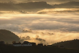 Autumn atmosphere in the golden morning light, fog drifts over forest with foliage colouring, hilly