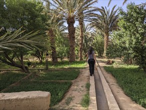 Walking through the Igrane garden near Merzouga, a typical agricultural oasis with small canals,