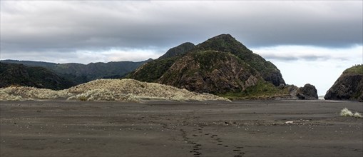 Dark colored sand at Whatipu beach near Auckland, New Zealand, Oceania