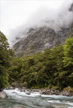 Mountainous Monkey creek flowing through impressive landscape next to Milford Sound highway, South