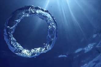 Underwater Bubble Ring Ascends towards the Sun