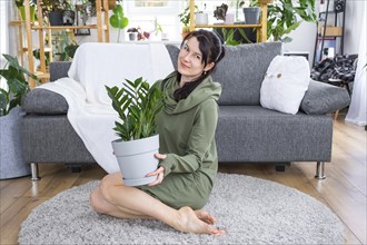 Unpretentious and popular Zamioculcas in the hands of a woman in the interior of a green house with