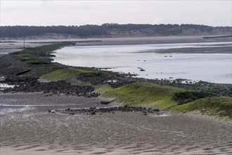 Baie de Authie coast, Berck, France, Europe