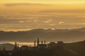 Autumn atmosphere in the golden morning light, fog drifts over the hilly landscape, silhouette of