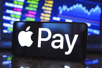 In this photo illustration, the Apple Pay logo is displayed on a smartphone screen