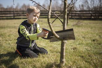 Six-year-old boy in the garden cuts branches of the tree during sunny spring day.