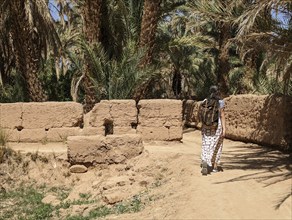 A hiker in a scenic agriculture landscape in the beautiful Draa valley, palm groves surrounding the