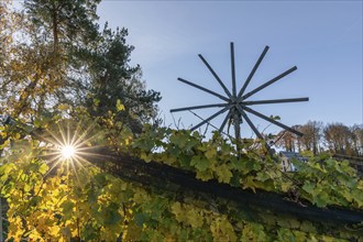 Autumn atmosphere, sunlight breaking through the vineyard, largest klapotetz in the world,