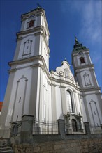 Former collegiate church of St Peter, a Roman Catholic parish church, Bad forest lake, Upper