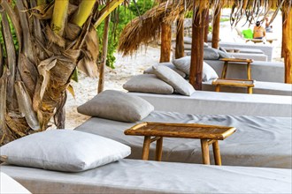 Palapa thatched roofs palm trees parasols umbrellas and sun loungers at the beach resort hotel on