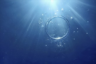 Underwater Bubble Ring Ascends towards the Sun