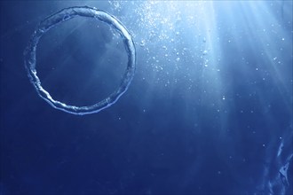 Underwater Bubble Ring Ascends towards the Sun