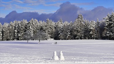 Two cross-country skiers on tour in a snow-covered landscape