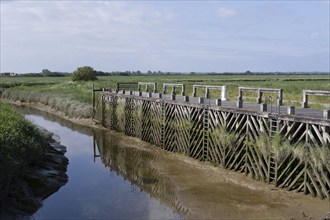 On the Authie canal in northern France