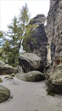 Tyssa Walls, rock town, Bohemian Switzerland, Czech Republic, Europe