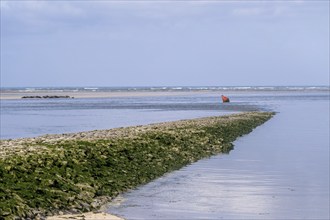 Baie de Authie coast, Berck, France, Europe