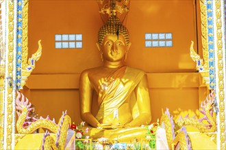 Golden Big Buddha statue in holy shrine in Wat Phadung Tham Phothi temple in Khao Lak Phang-nga