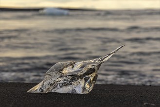 Evening at Diamond Beach, Jökulsarlon, south coast, Iceland, Europe