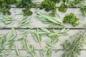 Drying fresh herbs and greenery for spice food on wooden desk background. Top view pattern