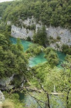 Scenic water landscape at Plitvice Lakes National Park in Croatia