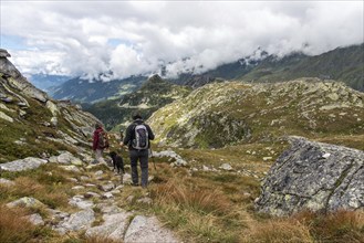 Woman hiking with her dog in the High Tauern National Park, the Austrian alps