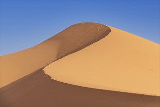 Picturesque dunes in the Erg Chebbi desert, part of the African Sahara, Morocco, Africa