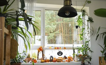 Festive decor of the house on the windowsill for Halloween in interior with homemade potted plants-