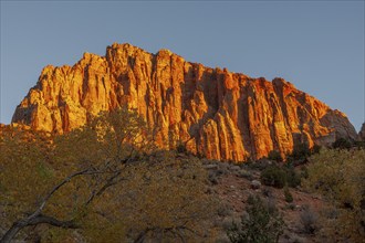 Glowing Rockface at Sunset in Zion National Park