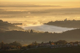 Autumn atmosphere in the golden morning light, fog drifts over the hilly landscape, silhouette of