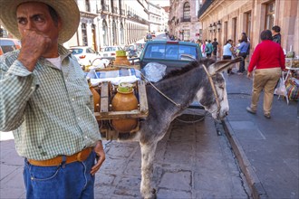 Reseller of aguamiel fresh drink made from agave plant. Zacatecas, ZAC. Mexico