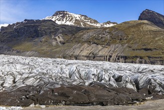 At Svinefell Glacier, Skaftafell NP, south coast, Iceland, Europe