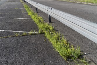 Guard rails on the road in the sun