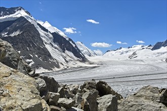 View from the glaciated Konkordiaplatz over the Grosser Aletschfirn to the Lötschenlücke mountain