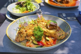 Vegetarian cuisine, sautéed dumplings on colourful vegetables, bread dumplings, rosemary, basil,