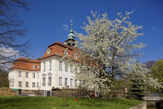 Reinhardtsgrimma Castle