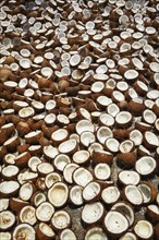 Drying coconuts in street, Kerala, South India