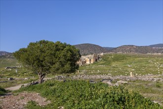 Remains, ruins at Hierapolis, Hieropolis, near Pamukkale, Denizli, Western Turkey, Turkey, Asia