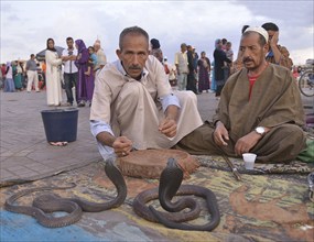 Snake charmers on the Jemaa el-Fnaa market square, Marrakech, Marrakesh-Tensift-El Haouz region,