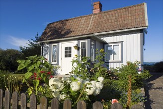 Wooden house with front garden in the small place, village, village, swedish, lovely, living,