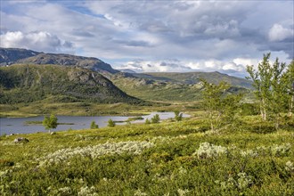 Barren mountain landscape with lake and birch trees, Gjendehøe mountain, Leirungen nedre lake,