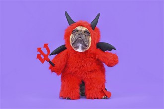 French Bulldog dog with red devil Halloween costume wearing a fluffy full body suit with fake arms